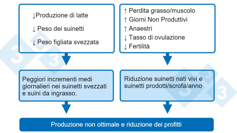 Grafico 1. Conseguenze di un basso apporto di nutrienti durante l'allattamento.